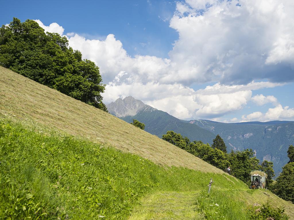 Gasthaus Gasteiger Lagundo Exteriér fotografie